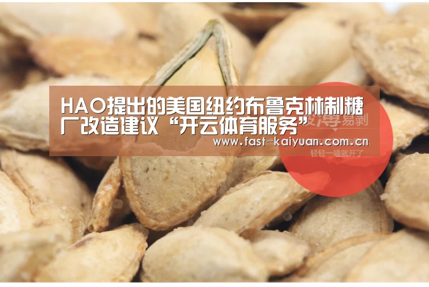 HAO提出的美国纽约布鲁克林制糖厂改造建议“开云体育服务”(图2) 开元棋牌官方下载